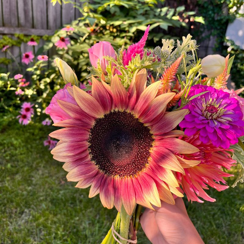 Plum sunflower bouquet against a garden fence